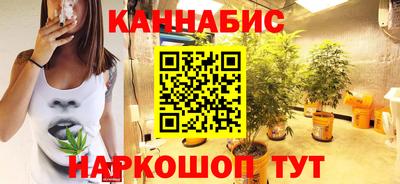 сатива Ставрополь