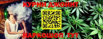 сатива Ставрополь