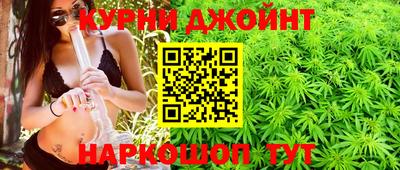 сатива Ставрополь