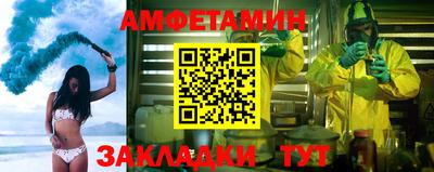 сатива Ставрополь