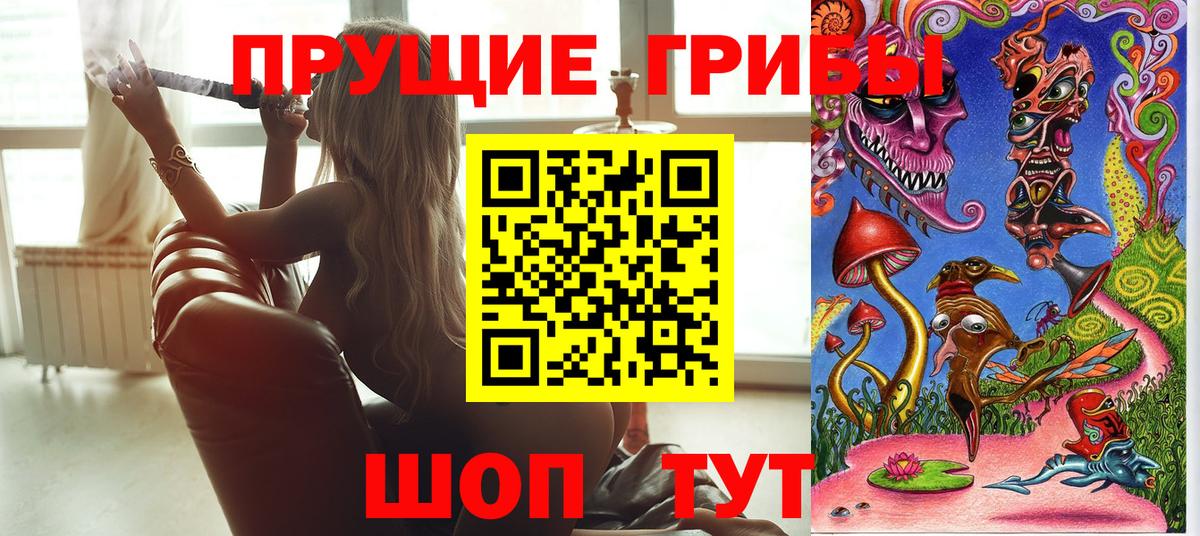 Галлюциногенные грибы Psilocybe Артёмовский
